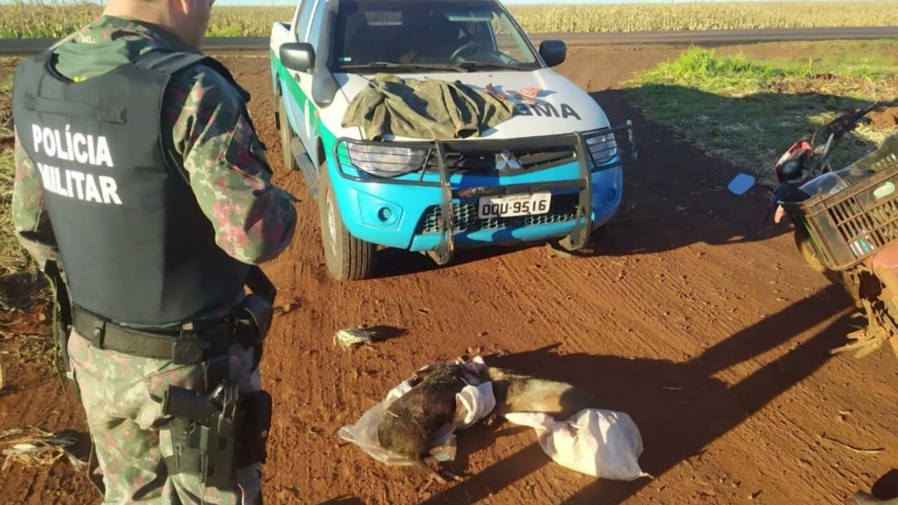 Pol Cia Militar Ambiental Aplicou Quase R Mil De Multas A Ca Adores